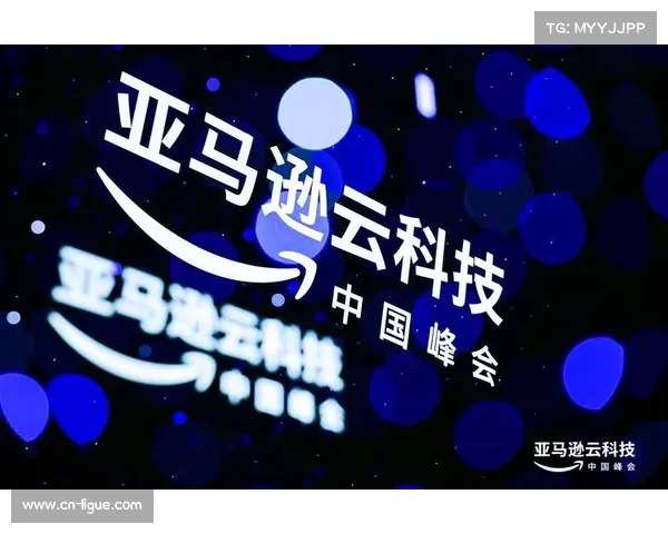 NFL下一代统计部门利用超过40种亚马逊云服务处理数据