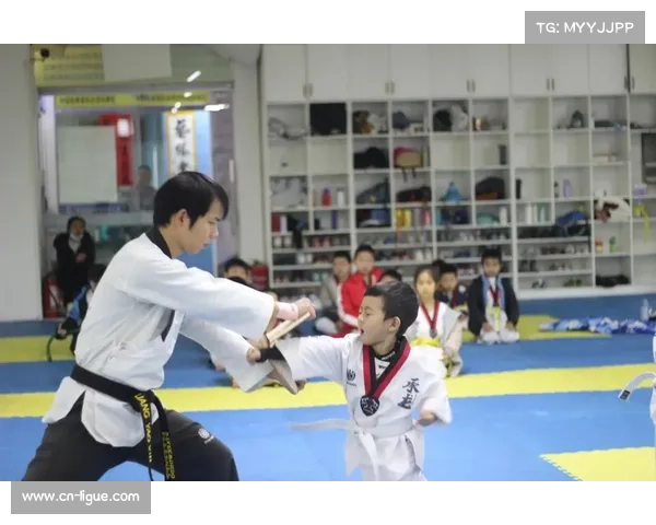 从道馆到学校：跆拳道在基层体育中的推广模式探索